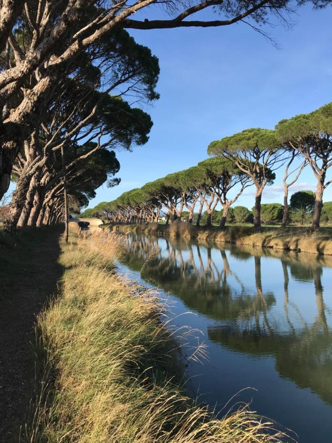 Villa Pintourina Sallèles-dʼAude Eksteriør billede