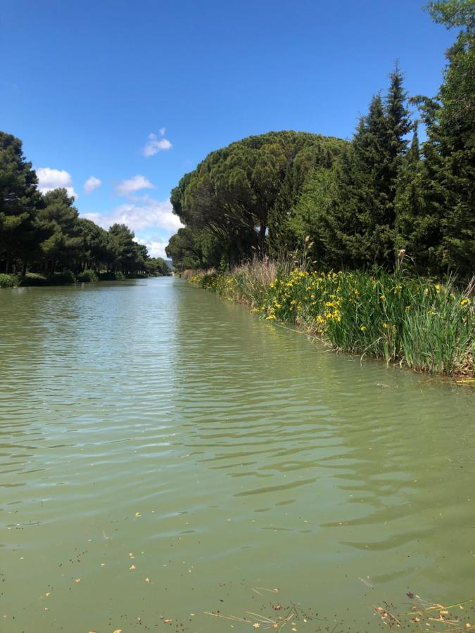 Villa Pintourina Sallèles-dʼAude Eksteriør billede